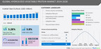 Hydrolyzed Vegetable Protein Market: Europe projected to account for 36% of the market's growth by 2028.