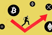 Bitcoin & altcoin bounce back