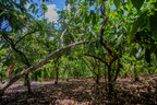 ReSeed and Equipe de Conservação da Amazônia Partner to Create New Revenue Stream for Brazilian Smallholder Farmers and Curb Deforestation via Farm-based Carbon Credits