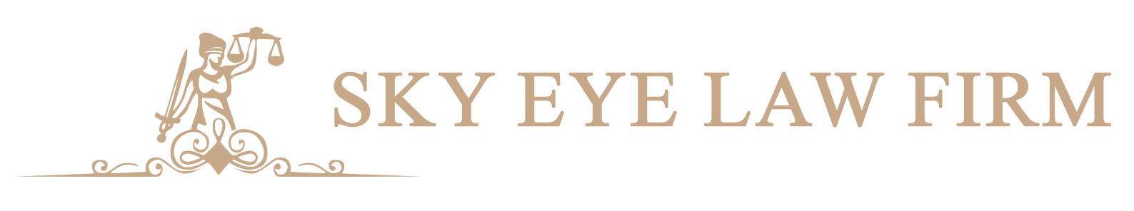 Sky Eye Law Firm logo